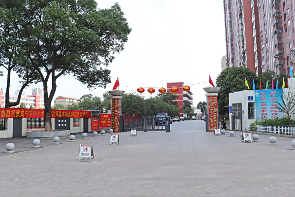 嘉鱼实验中学